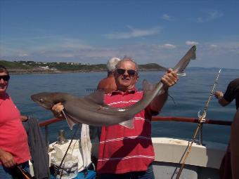 14 lb 10 oz Starry Smooth-hound by Wayne Hewitt