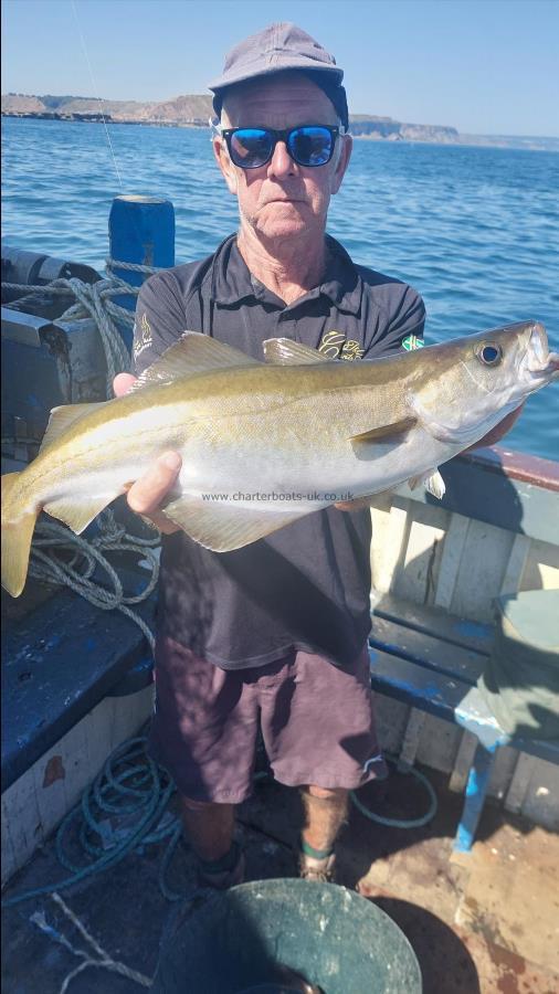 7 lb 1 oz Pollock by Unknown