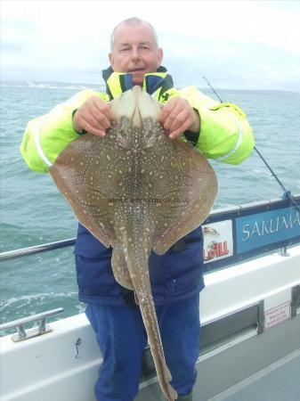 10 lb Undulate Ray by David Metcalf