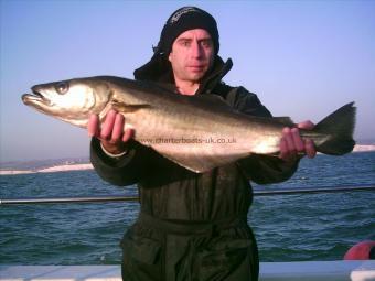 12 lb 5 oz Pollock by Unknown