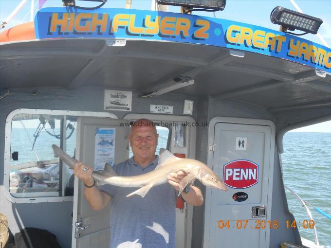 5 lb Starry Smooth-hound by John Lightowler