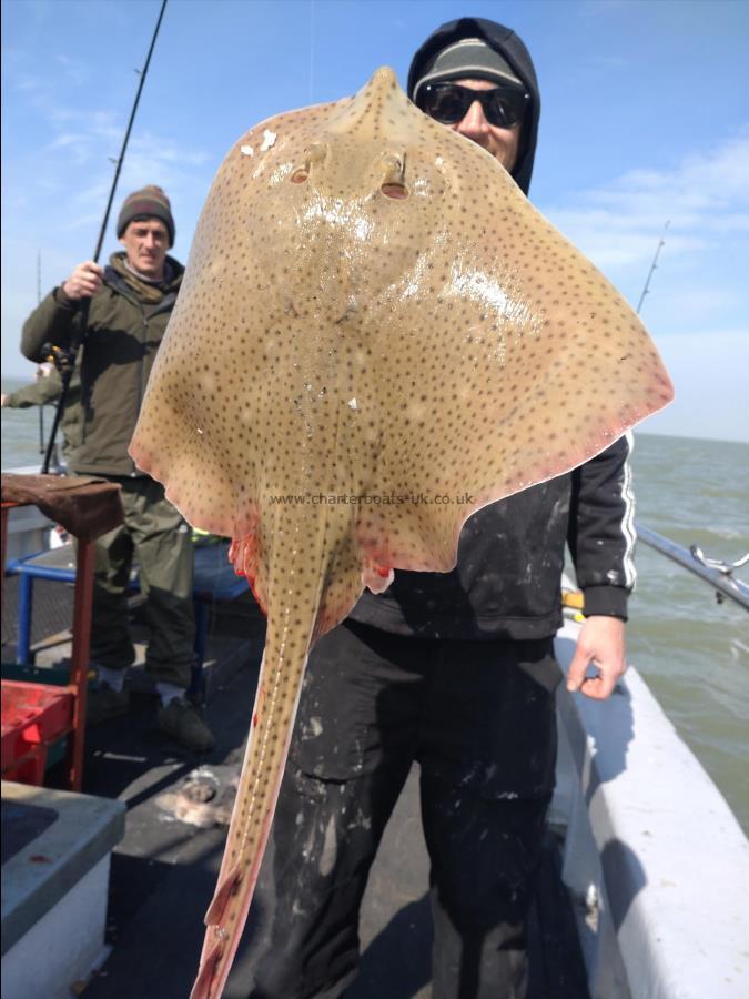 10 lb Blonde Ray by Dan