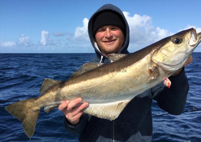 12 lb Pollock by Ryan Taylor