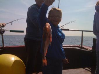 1 lb 8 oz Tub Gurnard by And another Young Customer and budding Angler