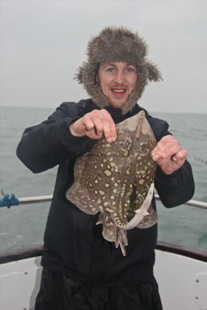 5 lb Thornback Ray by Mark