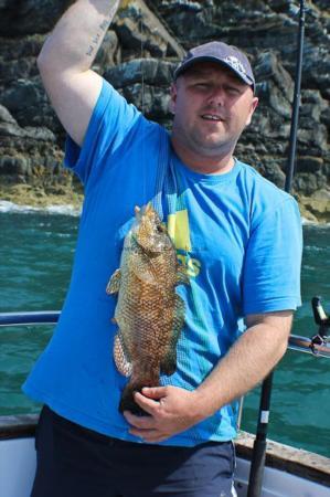 2 lb Ballan Wrasse by Billy Tomo