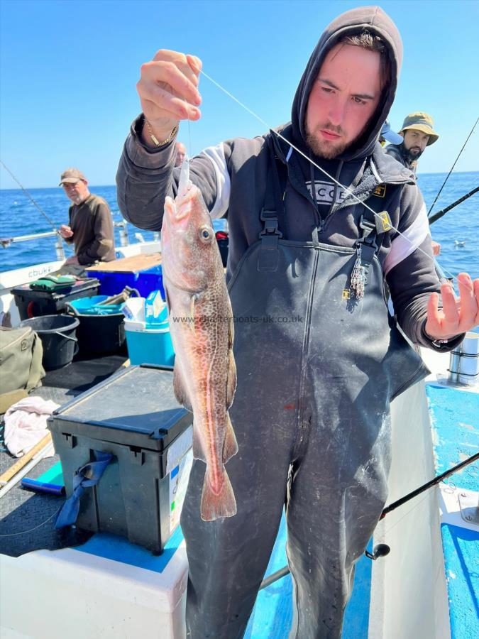 3 lb 6 oz Cod by Fergus.