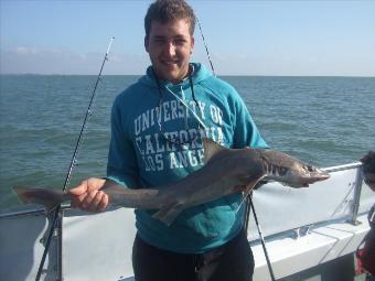 9 lb 2 oz Smooth-hound by Unknown
