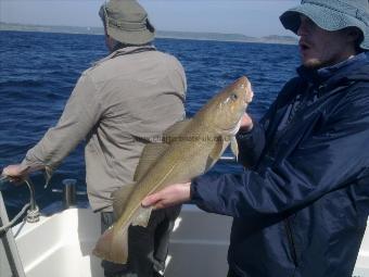 5 lb 6 oz Cod by Unknown