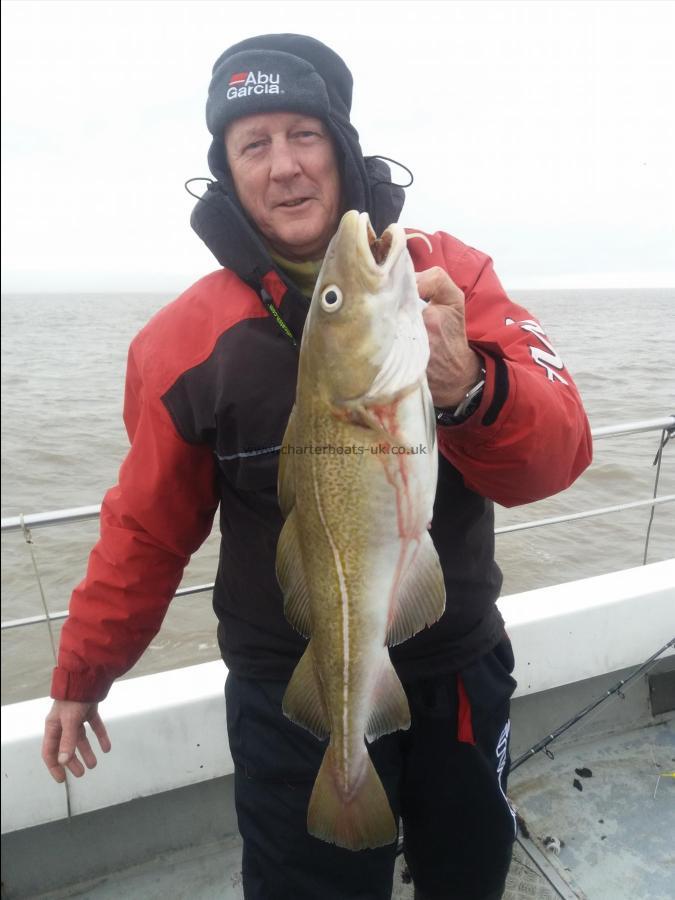 3 lb 14 oz Cod by New rod rob