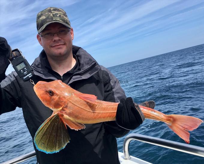 5 lb 9 oz Tub Gurnard by Pete Rae