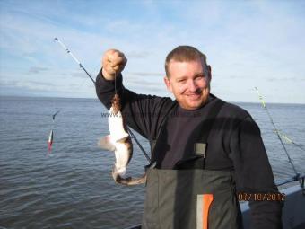 1 lb 4 oz Lesser Spotted Dogfish by Unknown