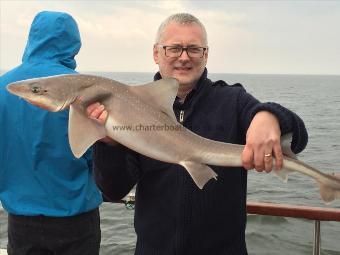 12 lb 6 oz Smooth-hound (Common) by Phil Jenkins