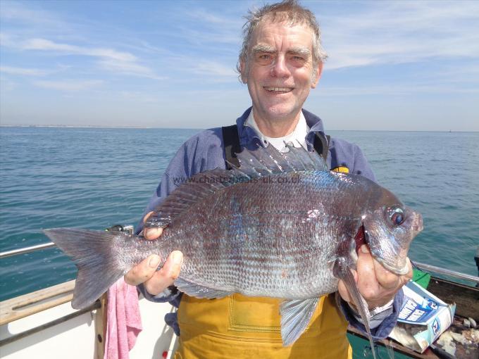 3 lb 13 oz Black Sea Bream by jim