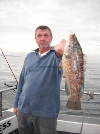 3 lb 12 oz Ballan Wrasse by Alan Wickingdon