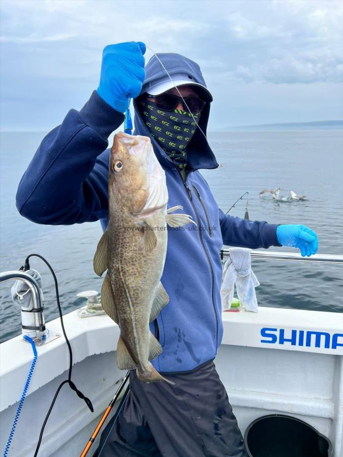 4 lb 4 oz Cod by Joe.