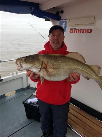 14 lb 8 oz Cod by Unknown