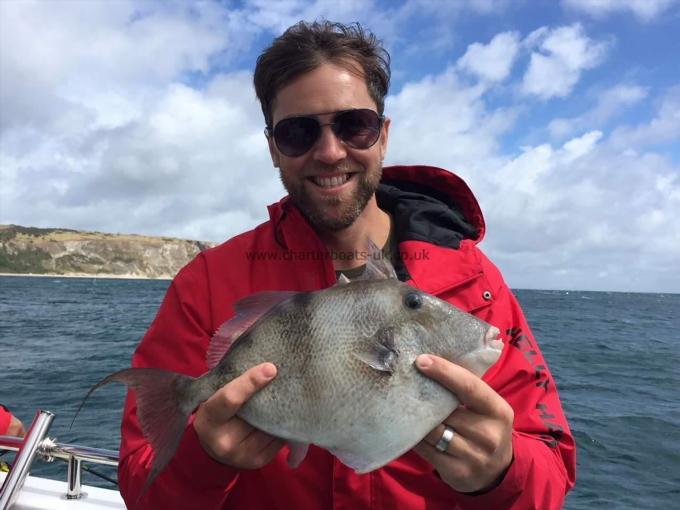 1 lb 7 oz Trigger Fish by Unknown