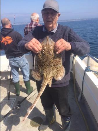 4 lb Spotted Ray by Richard Bagg