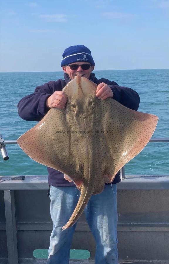 36 lb Blonde Ray by Andy Cumming