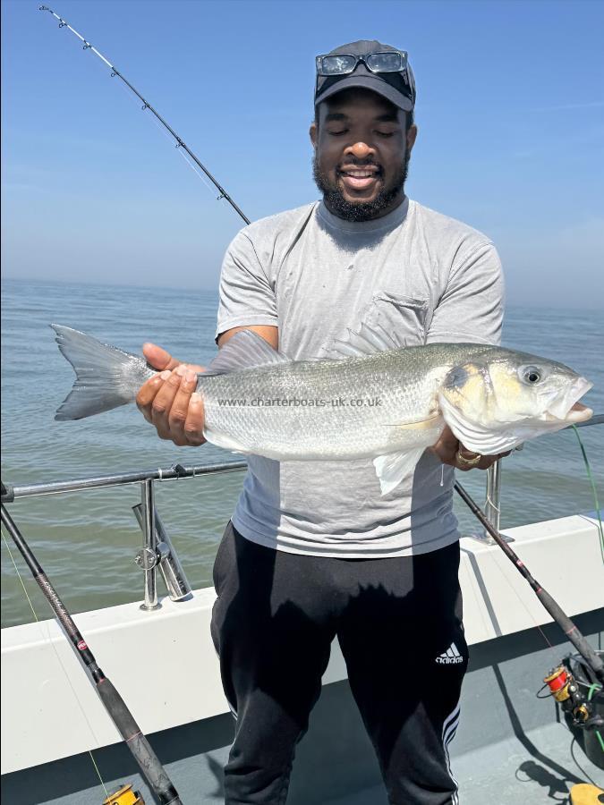 6 lb 8 oz Bass by Franklyn