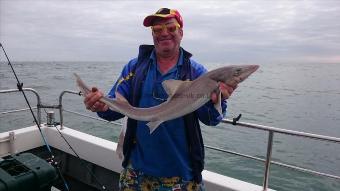 8 lb Starry Smooth-hound by Bob Marshall