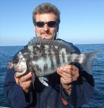 3 lb 8 oz Black Sea Bream by Paul Leatherdale
