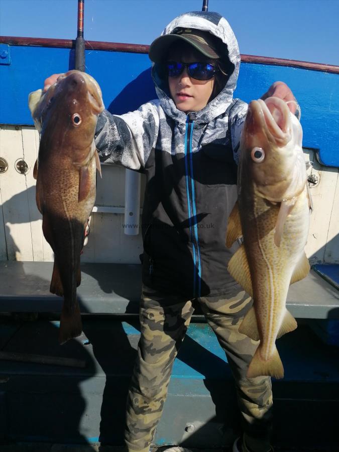 3 lb 8 oz Cod by Unknown