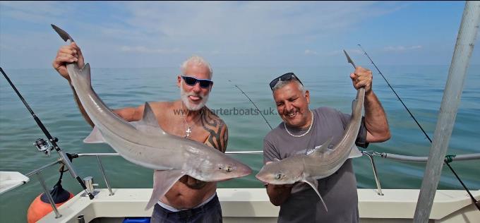 14 lb 2 oz Smooth-hound by Phil