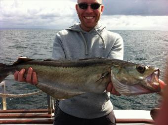 12 lb 10 oz Pollock by Unknown