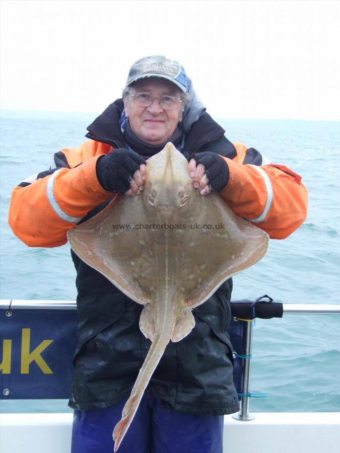 8 lb 12 oz Small-Eyed Ray by Andy Collings