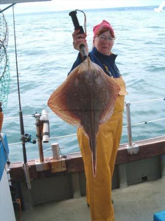 7 lb 11 oz Small-Eyed Ray by Unknown