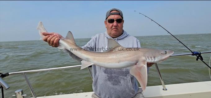 10 lb 2 oz Smooth-hound (Common) by Dan