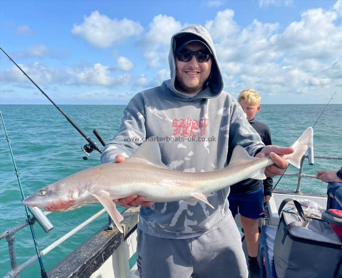 7 lb Smooth-hound by Unknown