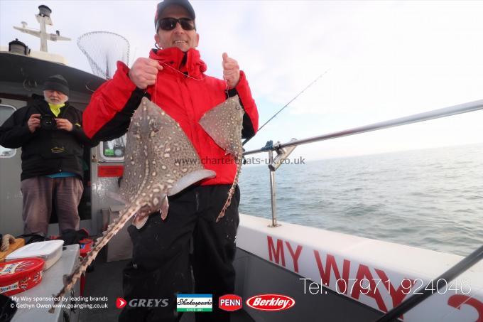 5 lb Thornback Ray by Scott