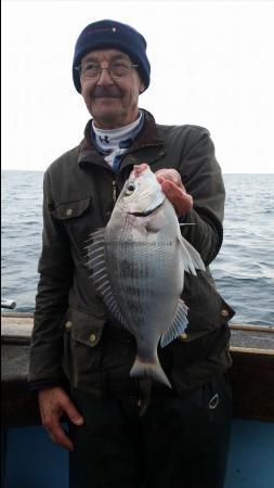 2 lb 14 oz Black Sea Bream by Unknown