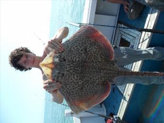 11 lb Thornback Ray by Unknown