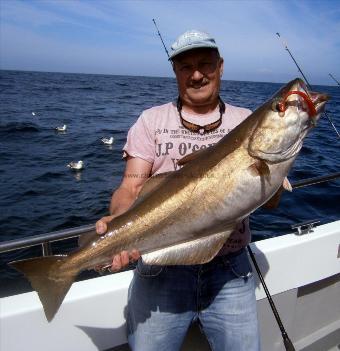 17 lb 8 oz Pollock by Cyril