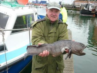 6 lb Wolf Fish by Paul Naylor, from preston.
