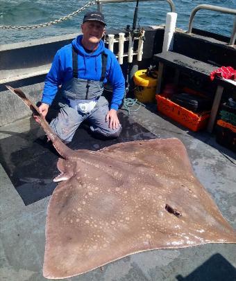 204 lb Common Skate by mike butterworth