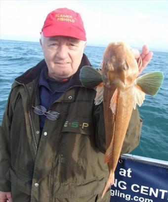 3 lb Tub Gurnard by Peter Welfare