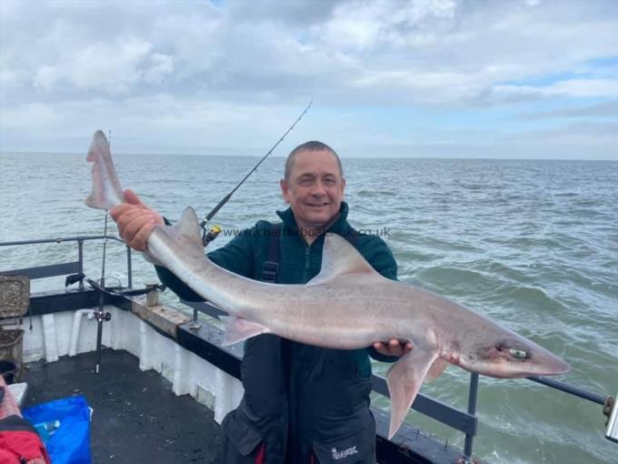 13 lb Smooth-hound (Common) by Unknown