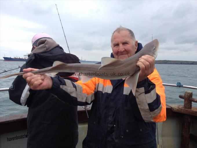 6 lb Smooth-hound (Common) by Barry