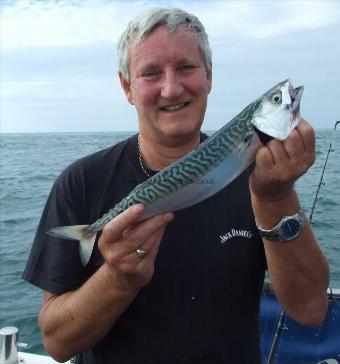 1 lb 12 oz Mackerel by David Potts