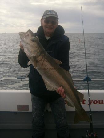 17 lb 4 oz Pollock by Brian