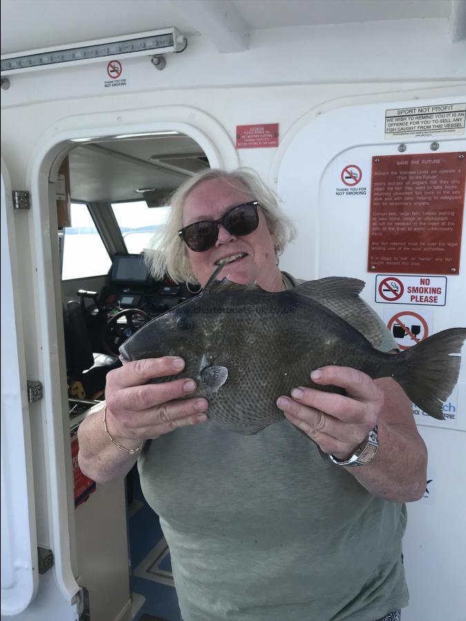 2 lb 4 oz Trigger Fish by Linda