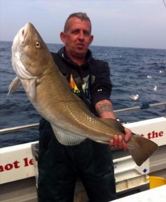 17 lb Cod by Unknown