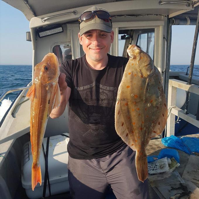 1 lb 5 oz Tub Gurnard by Adam Golding