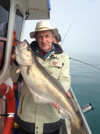 14 lb 10 oz Pollock by Brian