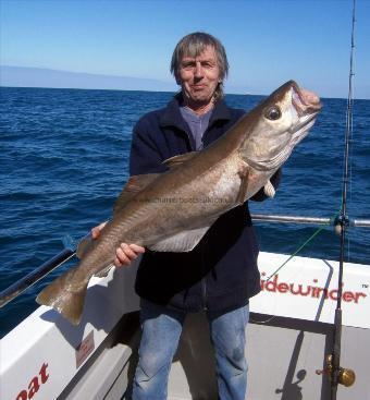 17 lb 3 oz Pollock by Steve